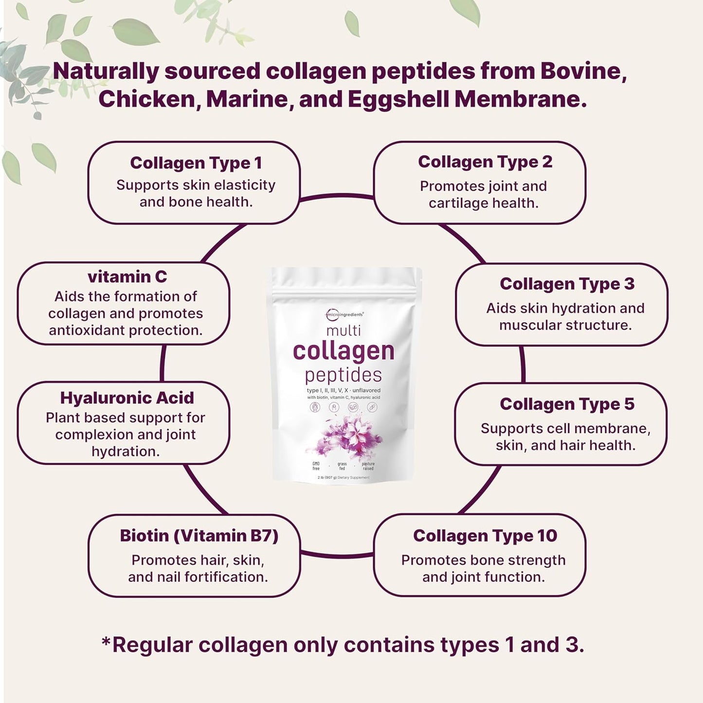 Multi Collagen Peptides (Tipos I, II, III, V y X) con Biotina, Vitamina C y Ácido Hialurónico