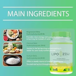 LipoZem Suplemento de Magnesio/Calcio/Sodio | Apoyo Digestivo + Energía Mental | Pérdida de Peso | Vegano, Sin Gluten/Sin Aditivo