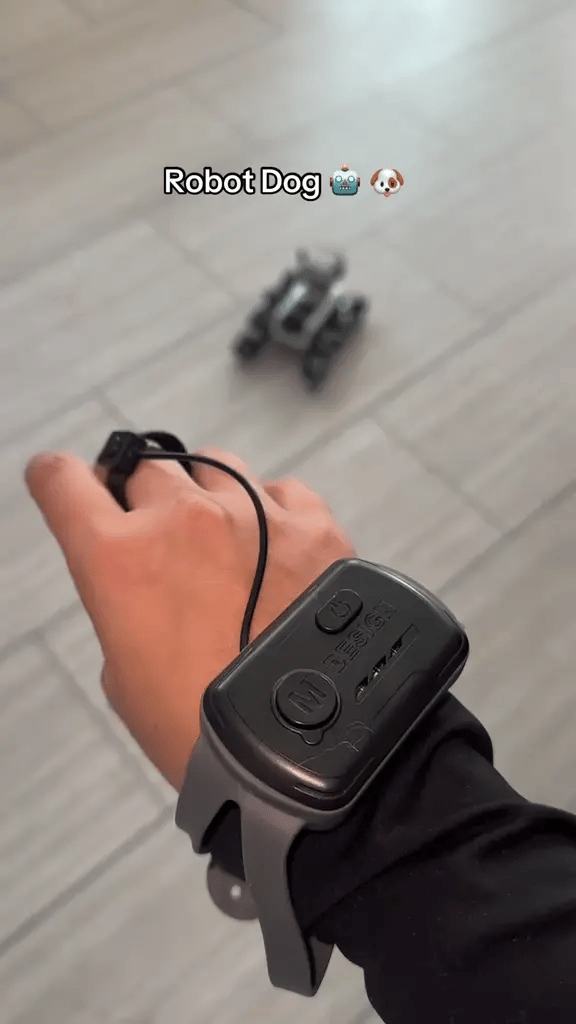 Perro Robot Inteligente